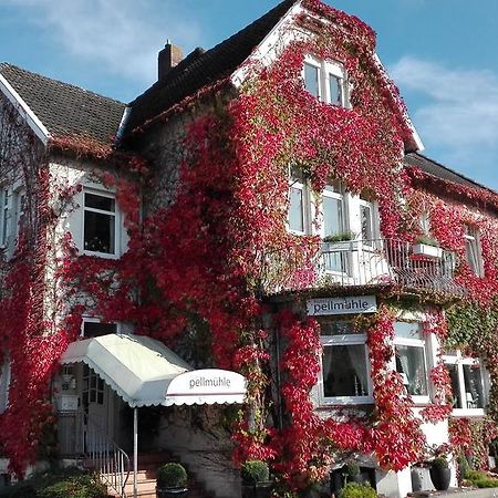 Hotel Pellmuehle イェファー エクステリア 写真